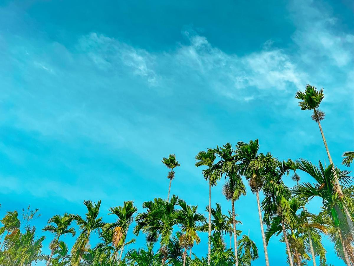 Areca Muine Homestay Phan Thiet Bagian luar foto